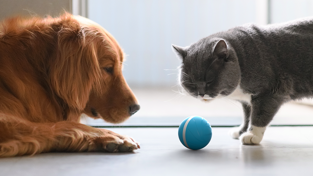 Balle interactive "MagicBall" à LED - pour Chiens & Chats