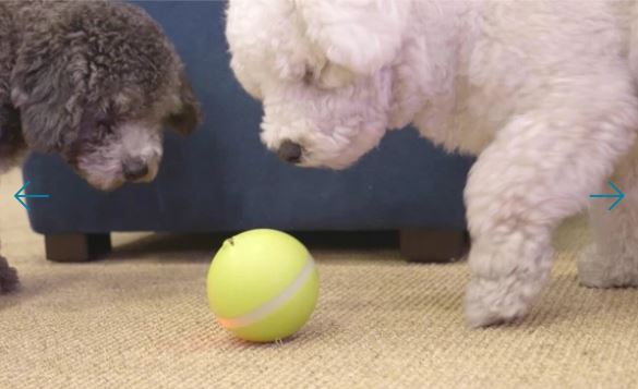 Balle interactive "MagicBall" à LED - pour Chiens & Chats